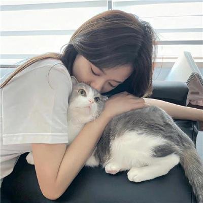 特别的一天在线观看